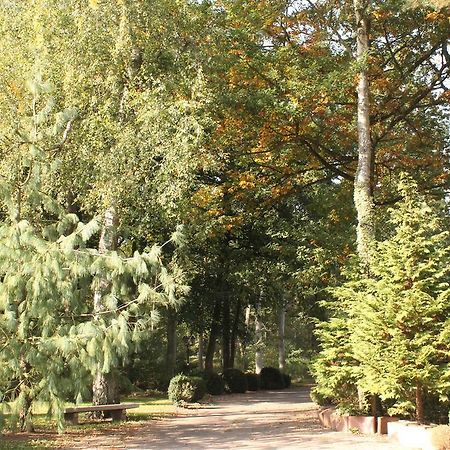 Hotel Und Restaurant Waldschloesschen 크리비츠 외부 사진
